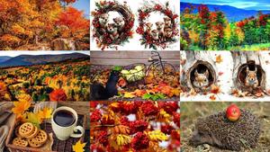 Beautiful Autumn 44