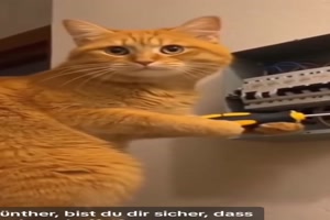 G�nter ist sich sicher