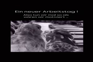 Neuer Arbeitstag