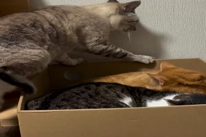 Wie komm ich da noch rein