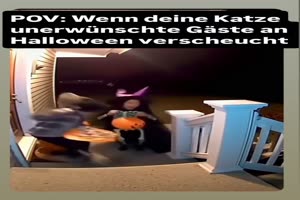 Wenn Halloween zum Horror wird