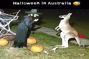 Halloween in Australien