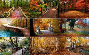 Br�cken im Herbst