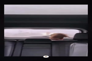 Zwei unterschiedliche Hunde