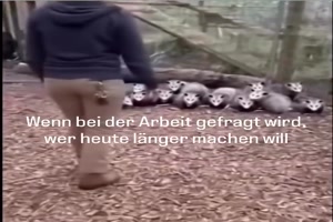 Wer will heute l�nger machen?