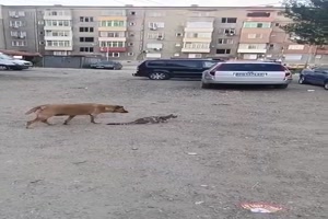 Hat nicht geklappt wie geplant