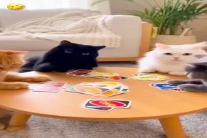 Ich glaub ich seh nicht richtig