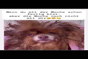 Du bist bereits fertig