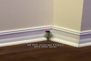 Mehr Baum geht nicht dieses Jahr