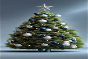 Sch�ne Weihnachts-B�ume