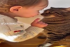 Gespr�ch mit der Katze