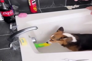 Interessanter Trick