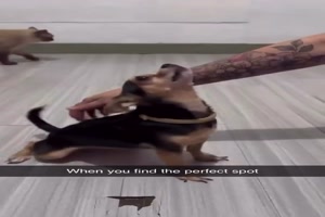 Die richtige Stelle gefunden